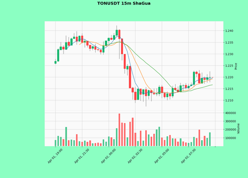 TONUSDT.2