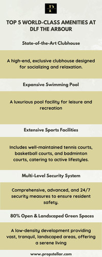Top 5 World Class Amenities at DLF The Arbour.1
