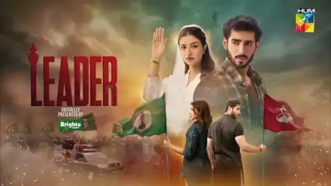 t371 leader card.webp