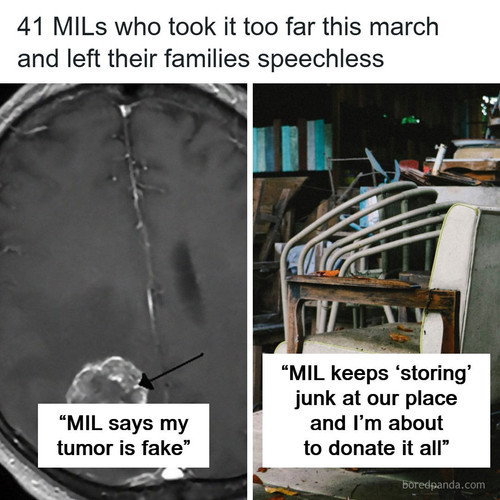 family relationships.jpg