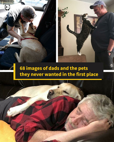 sharing img listams (1).jpg