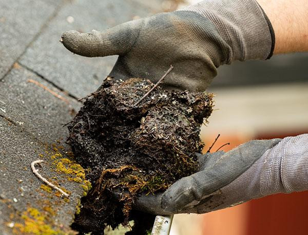 Hands pulling decomposed leaves and debris from a clogged gutter showing why Raindrop gutter guards are needed