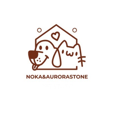 Logo - Nokaaurorastone.com.jpg