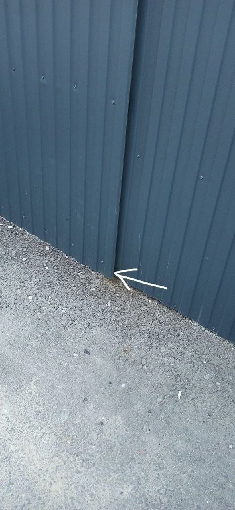 photo 2026 04 02 09 16 16.jpg