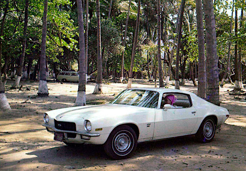 grandma in car at beach