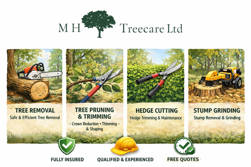 Transform Your Outdoors with Expert Tree Services!.2