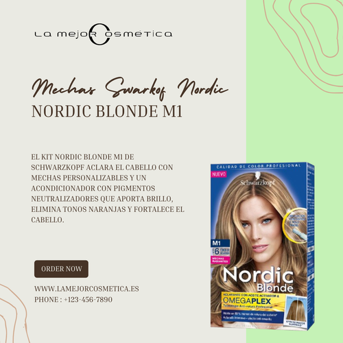 Mechas Swarkof Nordic.png