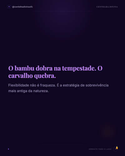 3058f891efba.2