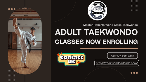 Adult Taekwondo Classes.png