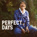 perfect days
