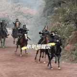 converted 1775133577132.gif