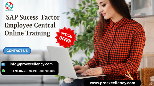 sucess factor central banner.png