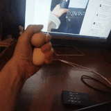 koto.gif