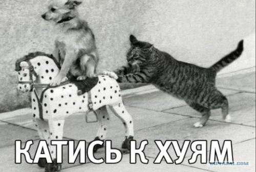 13527770.jpg