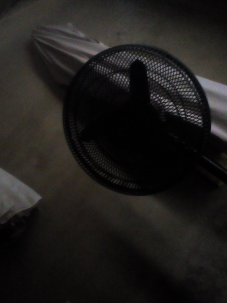 temp.png