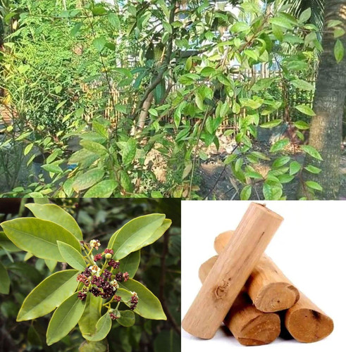 912ohFLj7RL. SL1500 .jpg