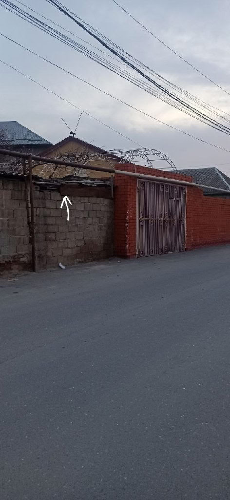 photo 2026 04 02 08 41 11.jpg