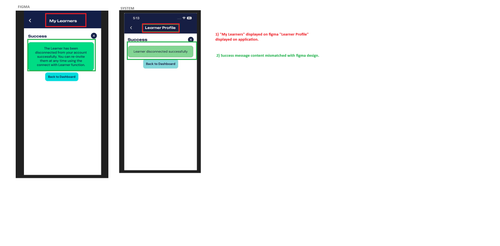 Leaner Profile UI Issues.png
