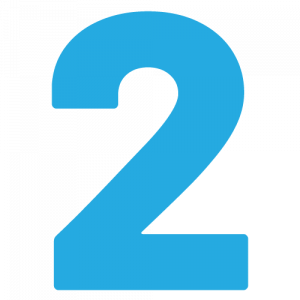 Tip Image 500x500 2 300x300.png