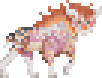 1000018798.gif