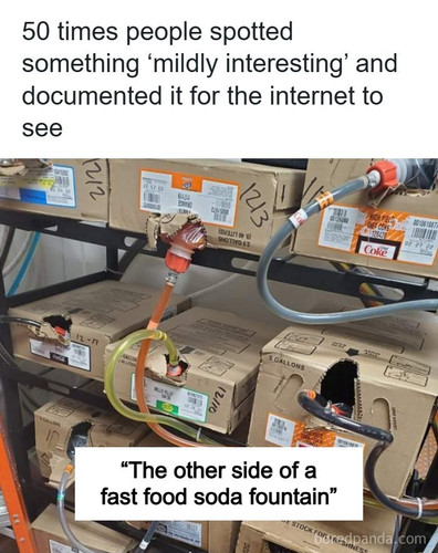 people share mildly interesting findings pictures.jpg