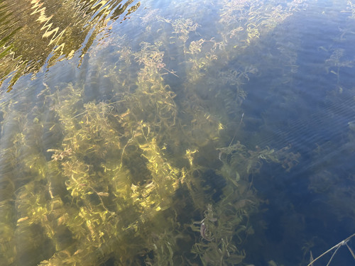 IMG 0997.jpg