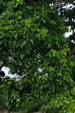 e48c085a0a0c.jpg