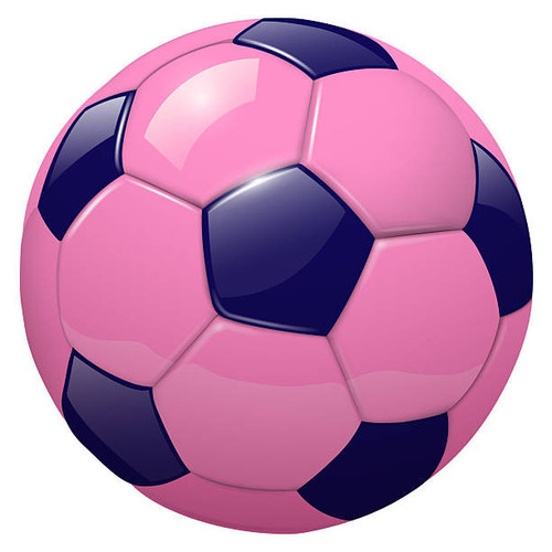 istockphoto 2220103264 612x612.jpg