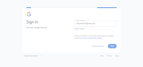 2026 04 02T17 01 43 482Z GOOGLE email entered unknown.png