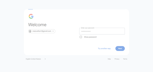 2026 04 02T17 02 01 395Z GOOGLE password entered.png