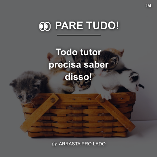carousel 1775149202359 slide1.png