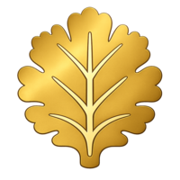 99029465cc7e.png