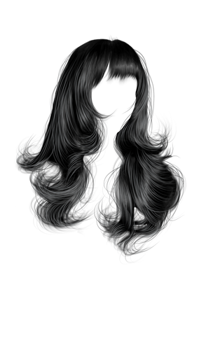 A1.png