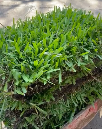 Captura de pantalla 2026 04 02 a la(s) 15.19.53.png