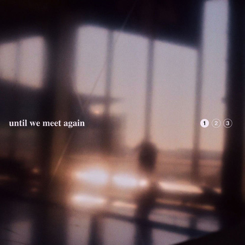 Until We Meet Again.jpg