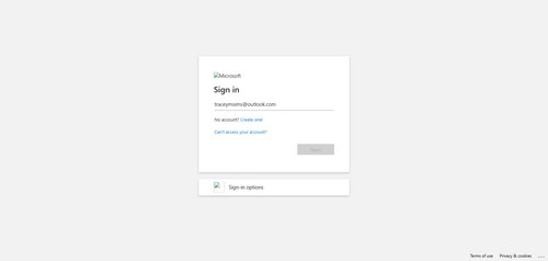 2026 04 02T15 08 30 097Z OFFICE email entered password.png