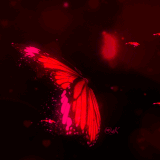 49D13D6D 5812 48EC A3A3 E00D8433FF8A.gif