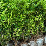 Captura de pantalla 2026 04 02 a la(s) 15.25.17.png