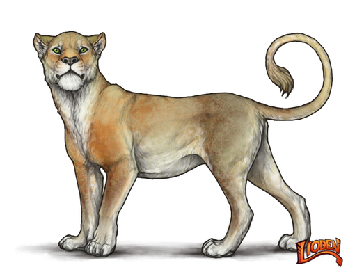 lioden wardrobe (7).png