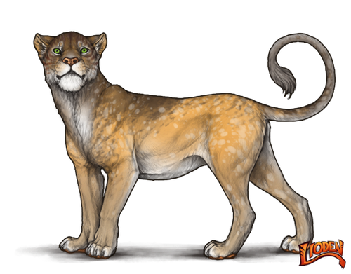 lioden wardrobe (6).png