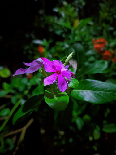 f03237139f73.jpg