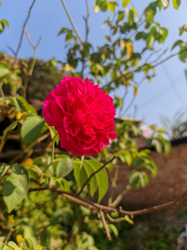 b048a2737ac3.jpg