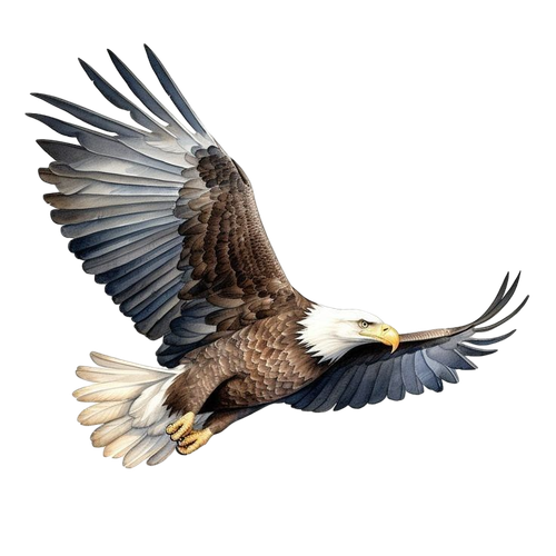 427f503bddde08747d97cfe4af48c4ad pixian ai.png