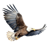 427f503bddde08747d97cfe4af48c4ad pixian ai