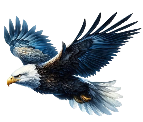 83645024f9bac1f26fdae8c234221fa2 pixian ai.png