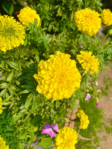 bb0f8802eb14.jpg