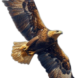 7be3c75a45a8c4863946fd91c5c6e777 pixian ai