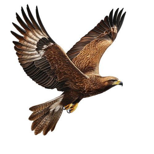 bc05844ab215333d9b6438281bf4d9c1 pixian ai.png