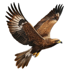 bc05844ab215333d9b6438281bf4d9c1 pixian ai