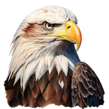 77d1e8aee8f421680e2fb0f1d05dfc3a pixian ai